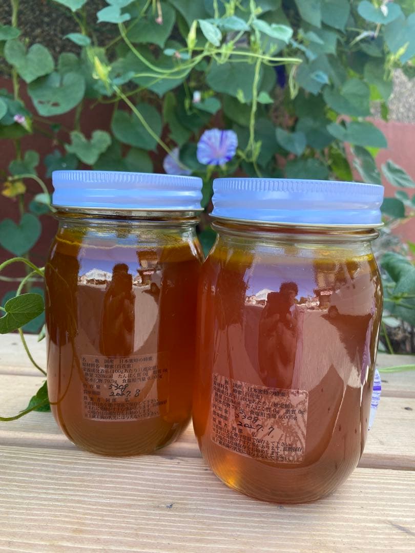 はちみつ　日本蜜蜂のハチミツ　奥山の奥の蜂蜜と花粉入りハチミツ