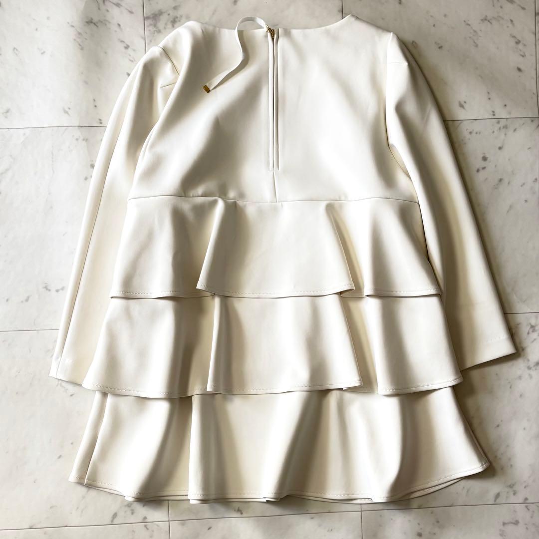 新品同様 ローズティアラ 大きいサイズ46 洗える ダンボールニットブラウス4L