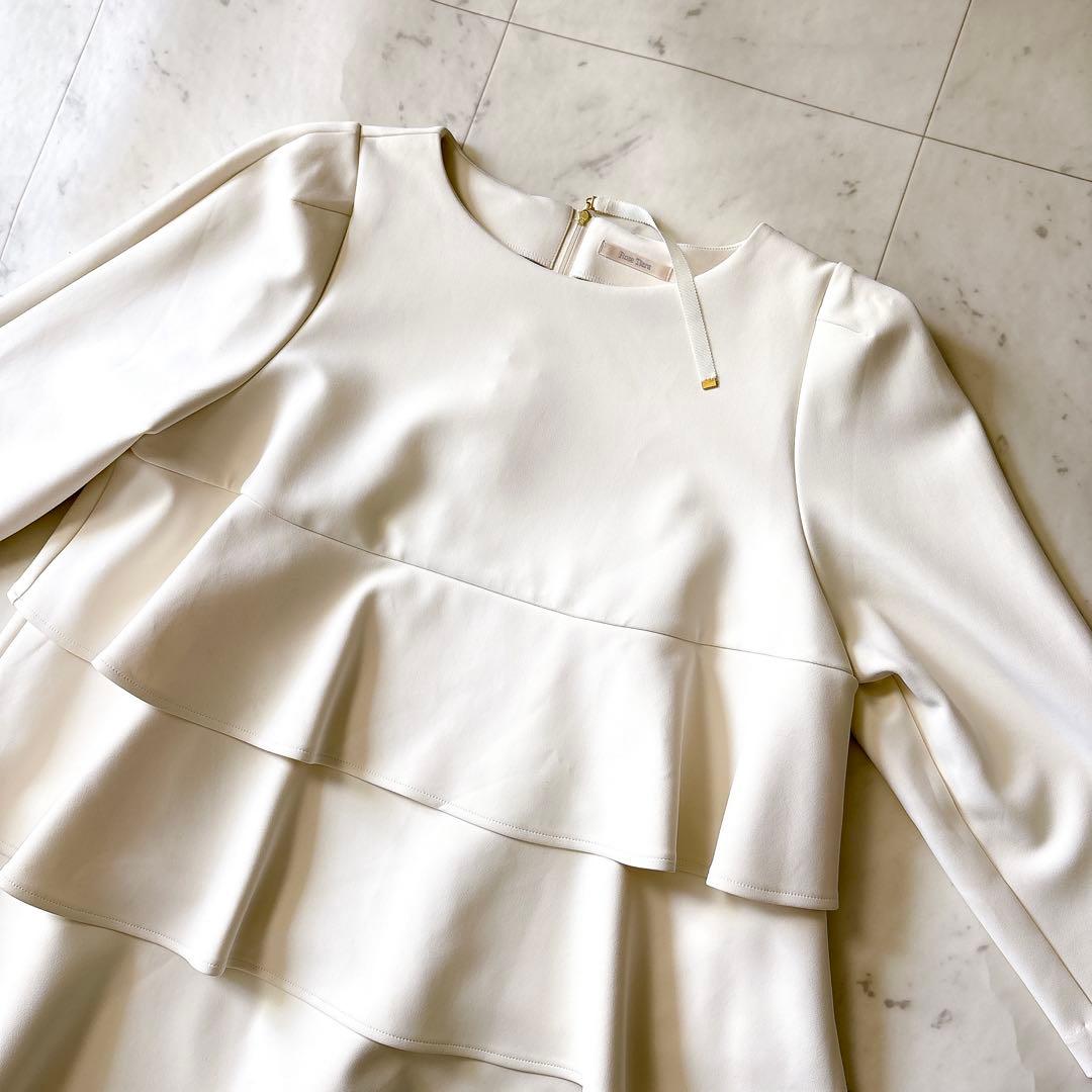 新品同様 ローズティアラ 大きいサイズ46 洗える ダンボールニットブラウス4L