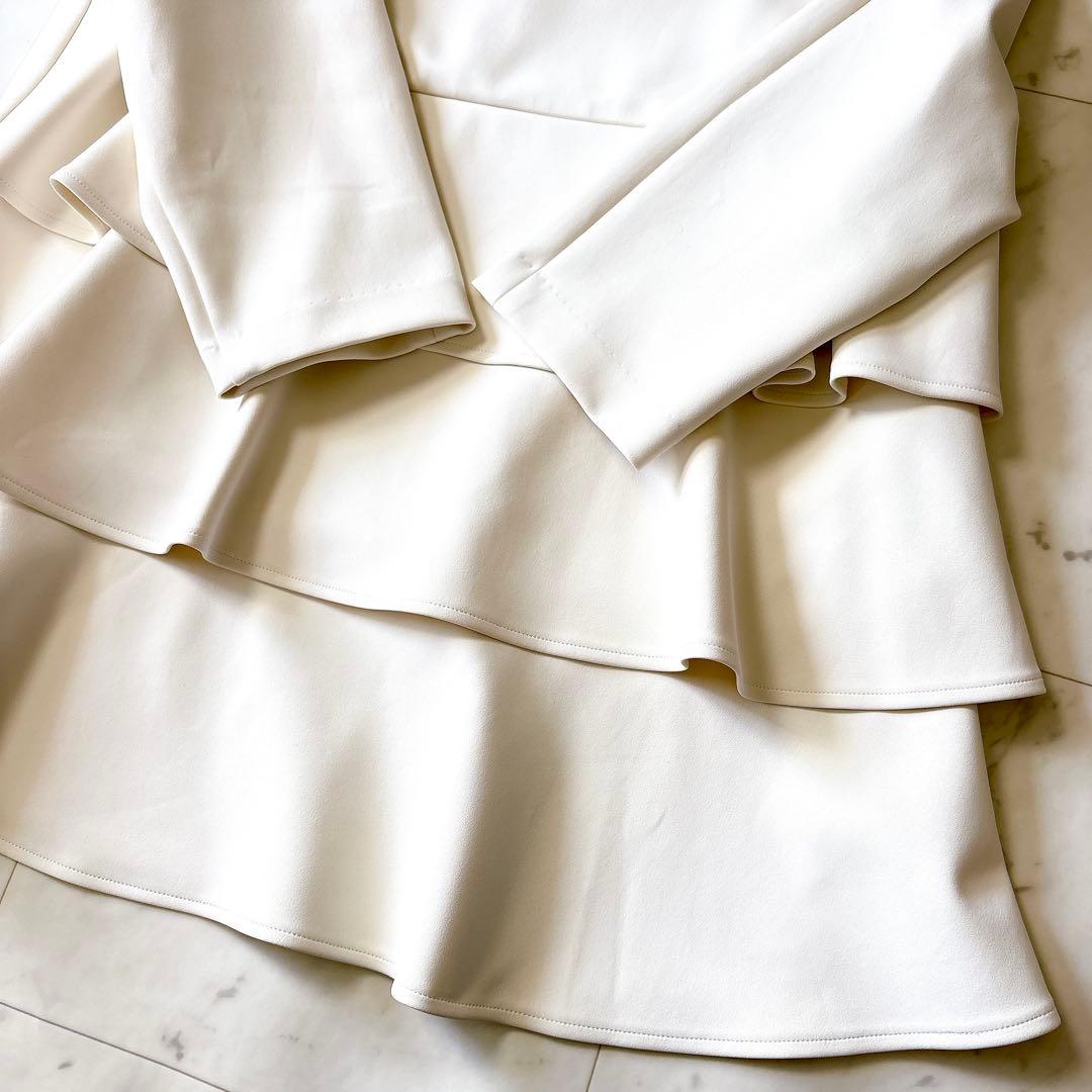 新品同様 ローズティアラ 大きいサイズ46 洗える ダンボールニットブラウス4L