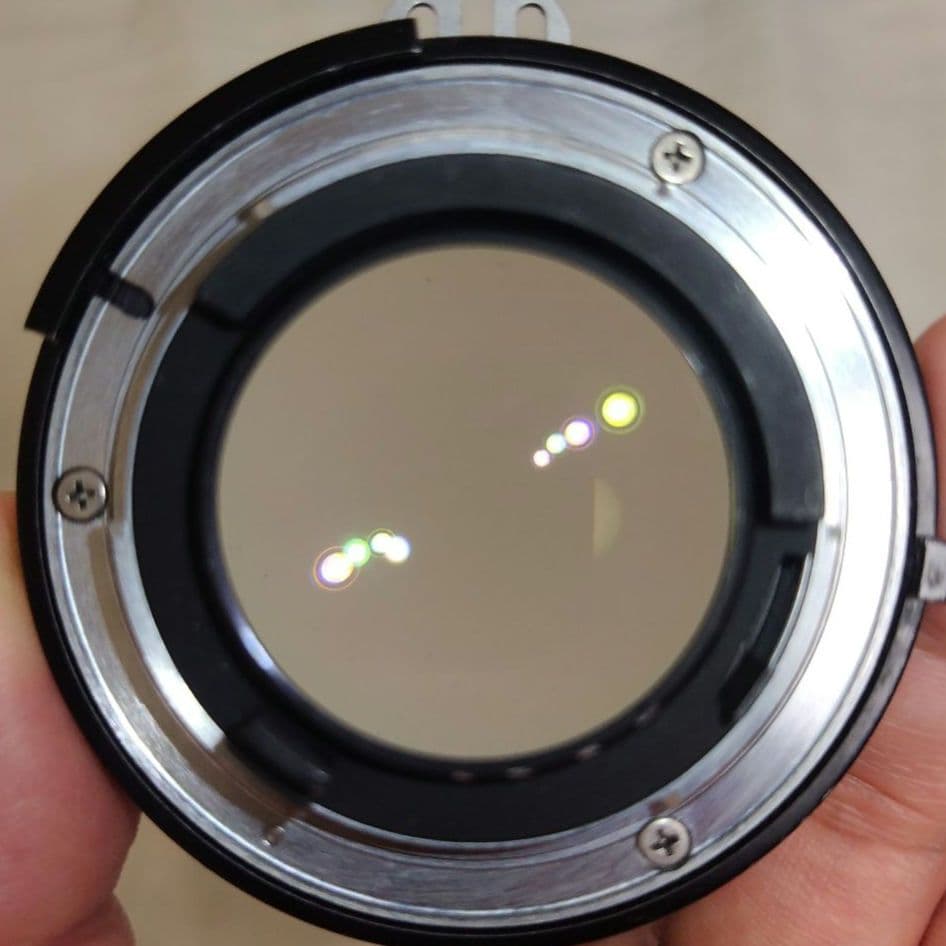 フィルムカメラ Nikon F4 + TC-16A + NIKKOR 50mm F1.4