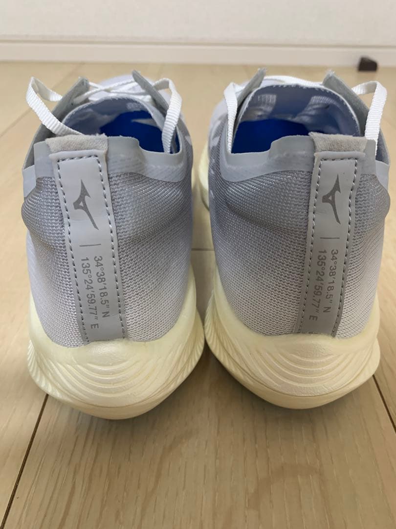 MIZUNO リベリオンプロナチュラル 28.0cm