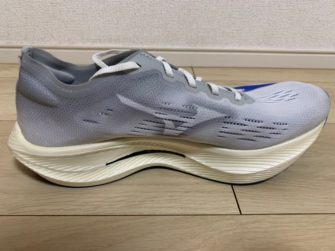 MIZUNO リベリオンプロナチュラル 28.0cm