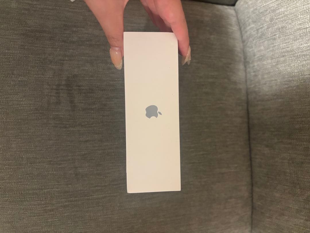 hana！！！！Apple iPad mini