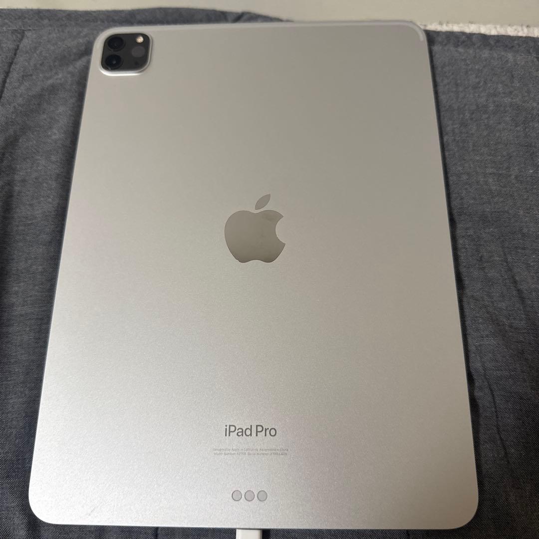 Apple iPad Pro11インチ(第4世代),ApplePencil 2