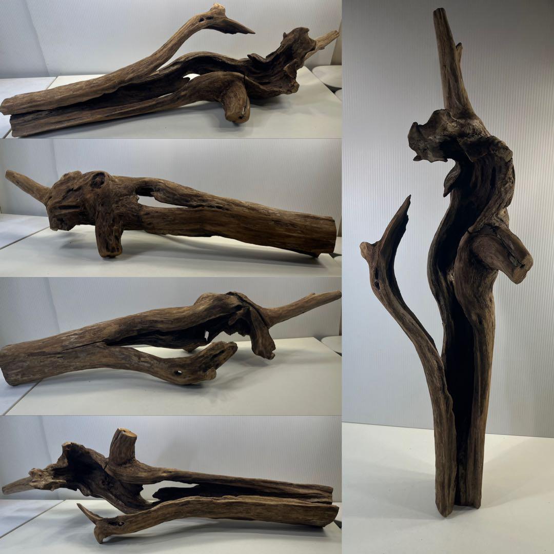 R71特大流木 アク抜き済み流木 爬虫類シェルター 登り木 インテリア 生け花