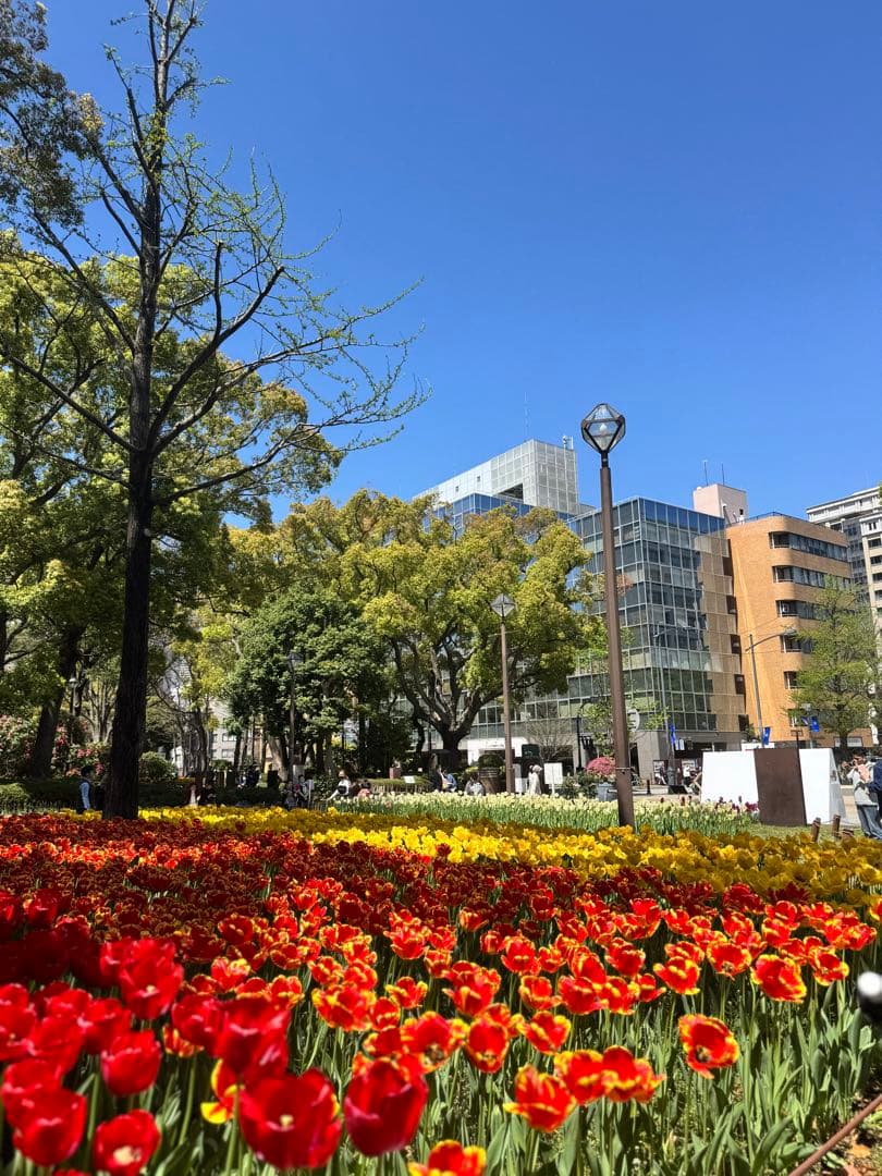 Nyanyako センタースピーカー