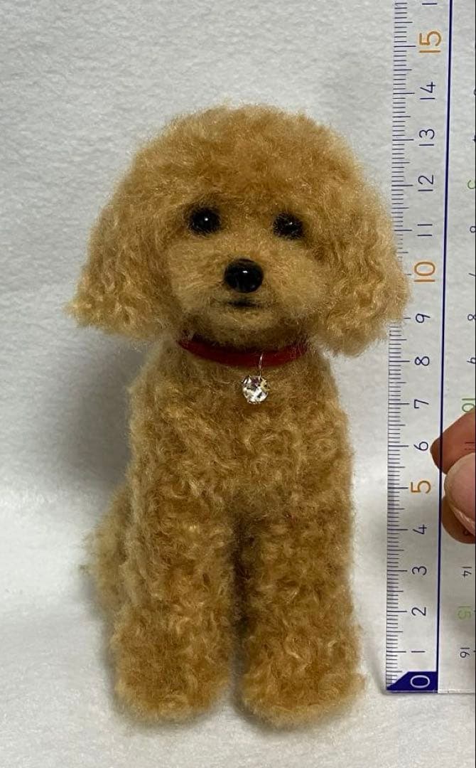coco6パパ☺︎　トイプードル　置物　飾り
