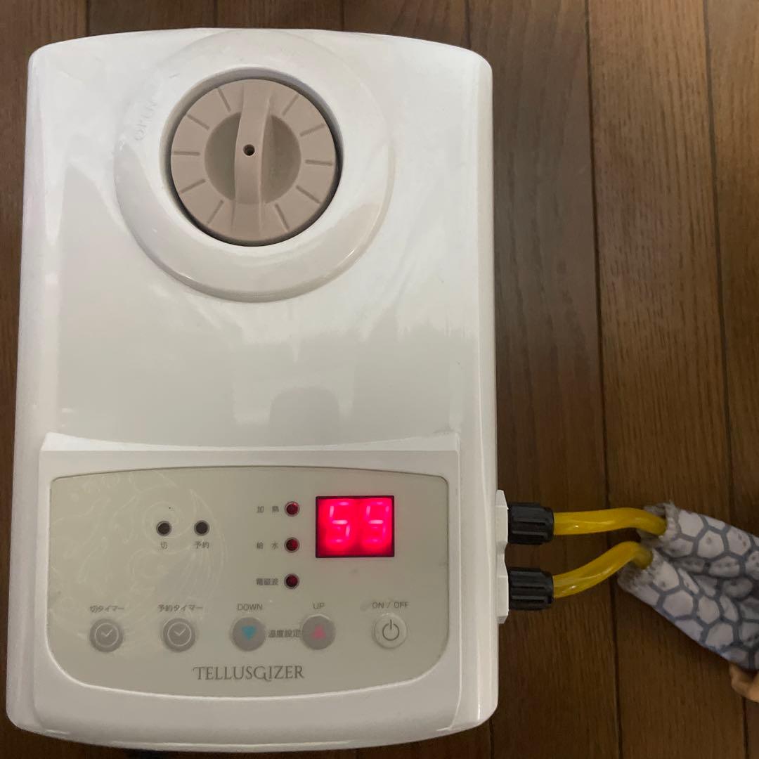 テルスガイザー