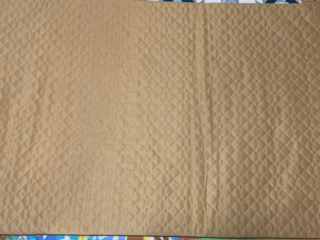 テルスガイザー