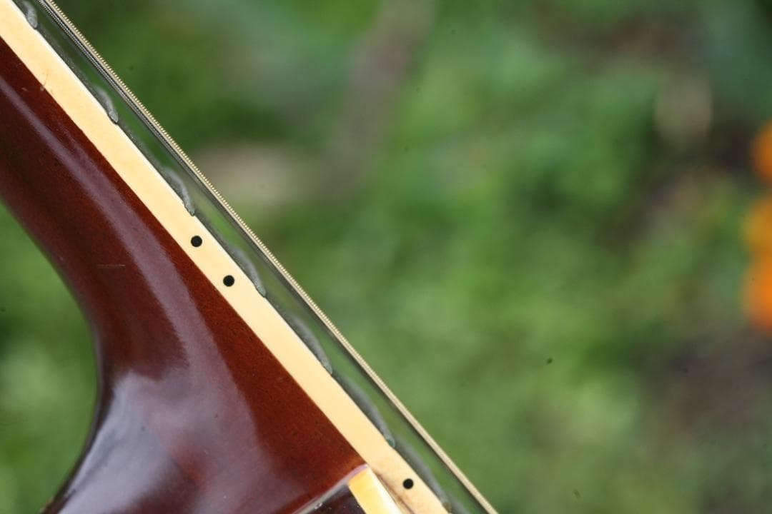 ヤマハ 12弦ギター FG12-301