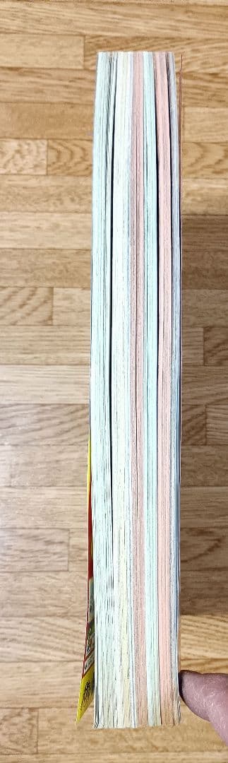 週刊少年ジャンプ 1996年 27号 SLAM DUNK 第1部 最終回 掲載号