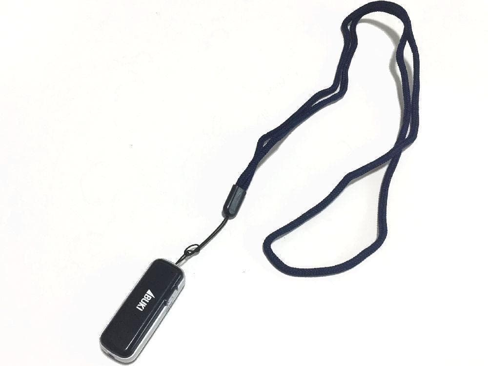 音声拡聴器 伊吹電子 iペンダント 10個セット 充電式 補聴 敬老の日