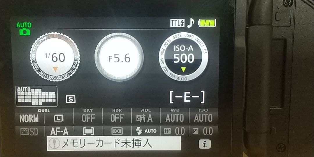 ニコン D5300 18-52 VRⅡKit & 望遠ズームレンズ 55-200