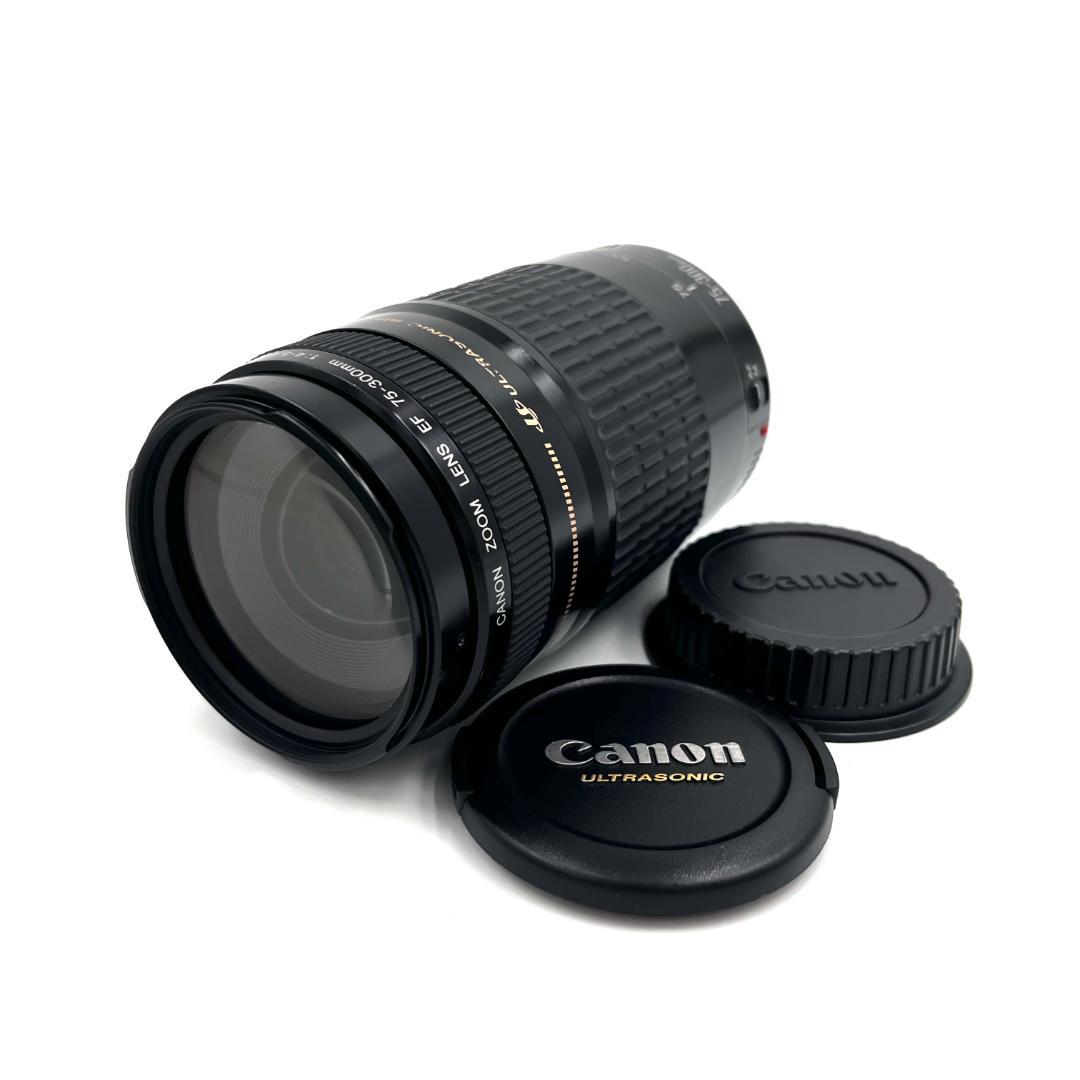 望遠レンズ Canon EF 75-300mm F4-5.6 USM #222