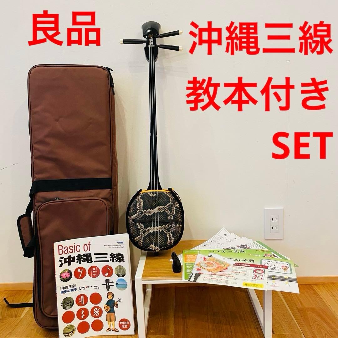 三線 沖縄 初心者セット 人工皮 ケース 爪 教本 set 三味線　送料込