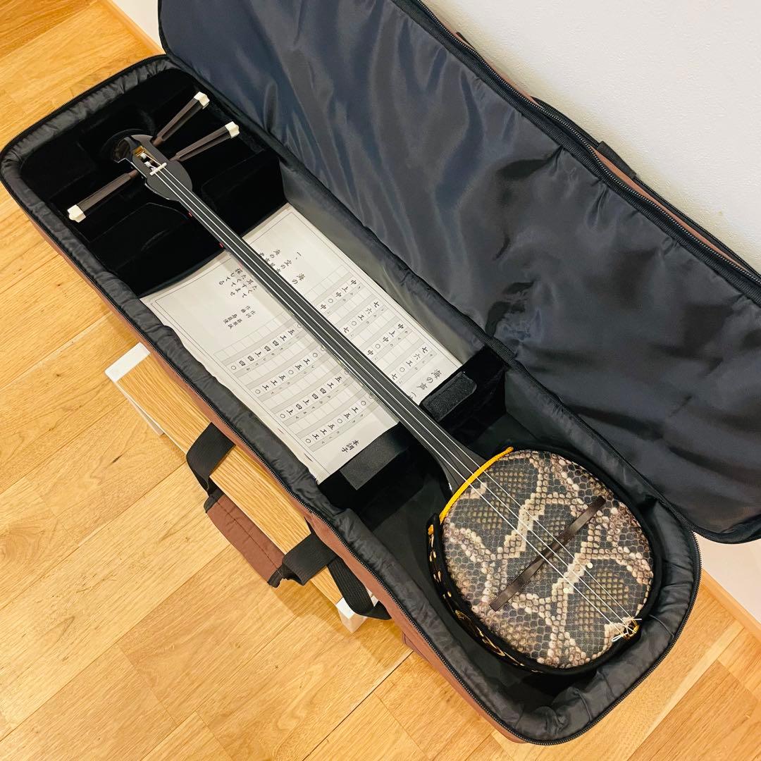 三線 沖縄 初心者セット 人工皮 ケース 爪 教本 set 三味線　送料込