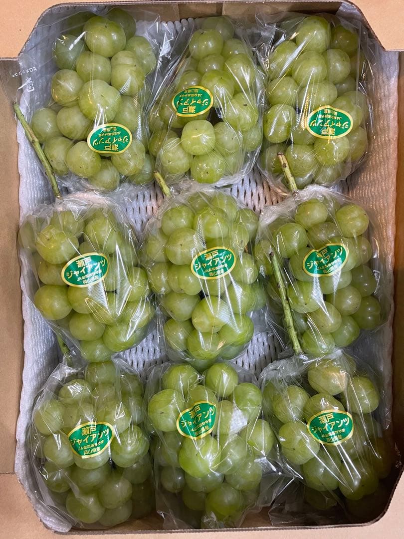 ②【岡山県産】瀬戸ジャイアンツ　7〜12房　約5キロ