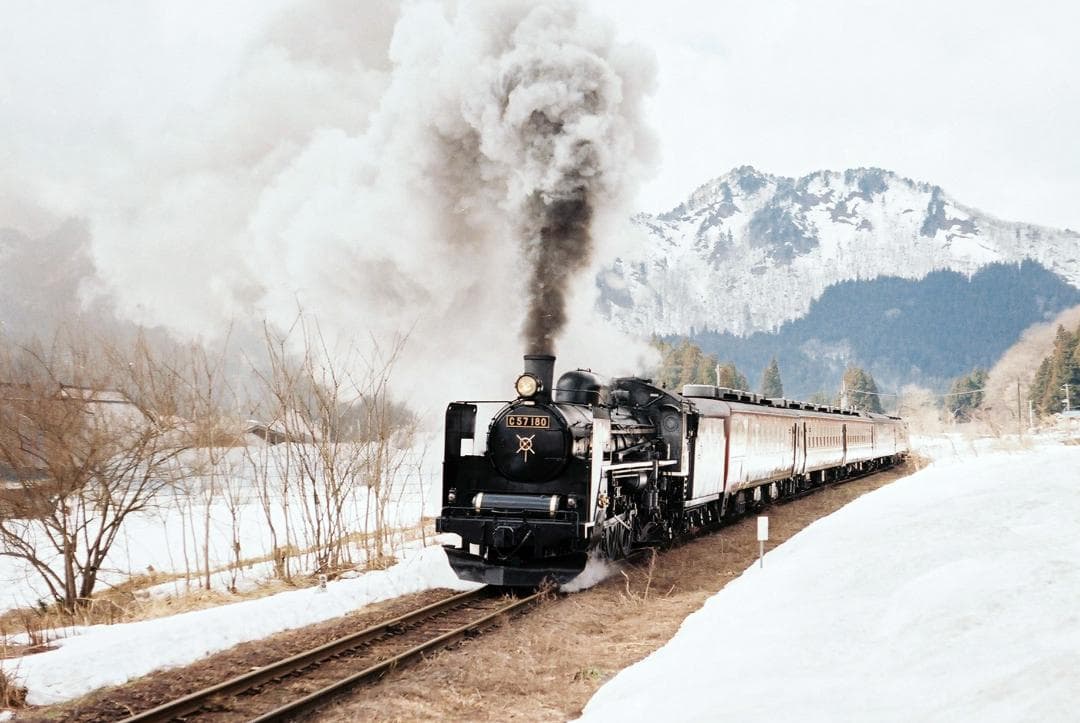 【実写確認整備品】ヴィトマチックⅡa／カラースコパー50mmf2.8付