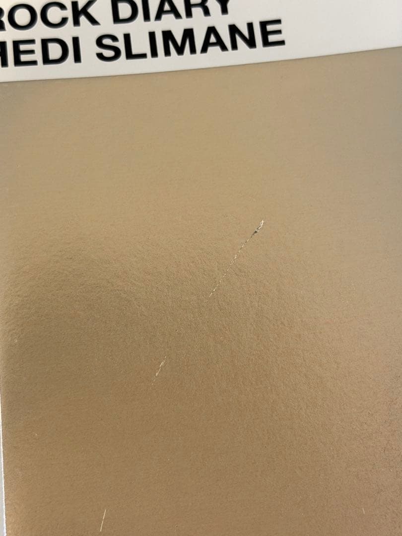 エディ・スリマン『Rock Diary』Hedi Slimane オマケ付け