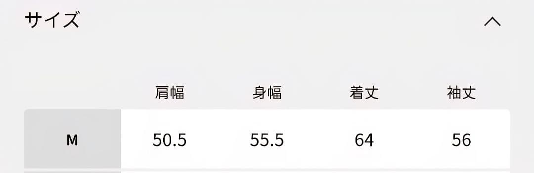 CHAMPION / チャンピオン 別注 R/W 刺繍スプラッシュ スウェット