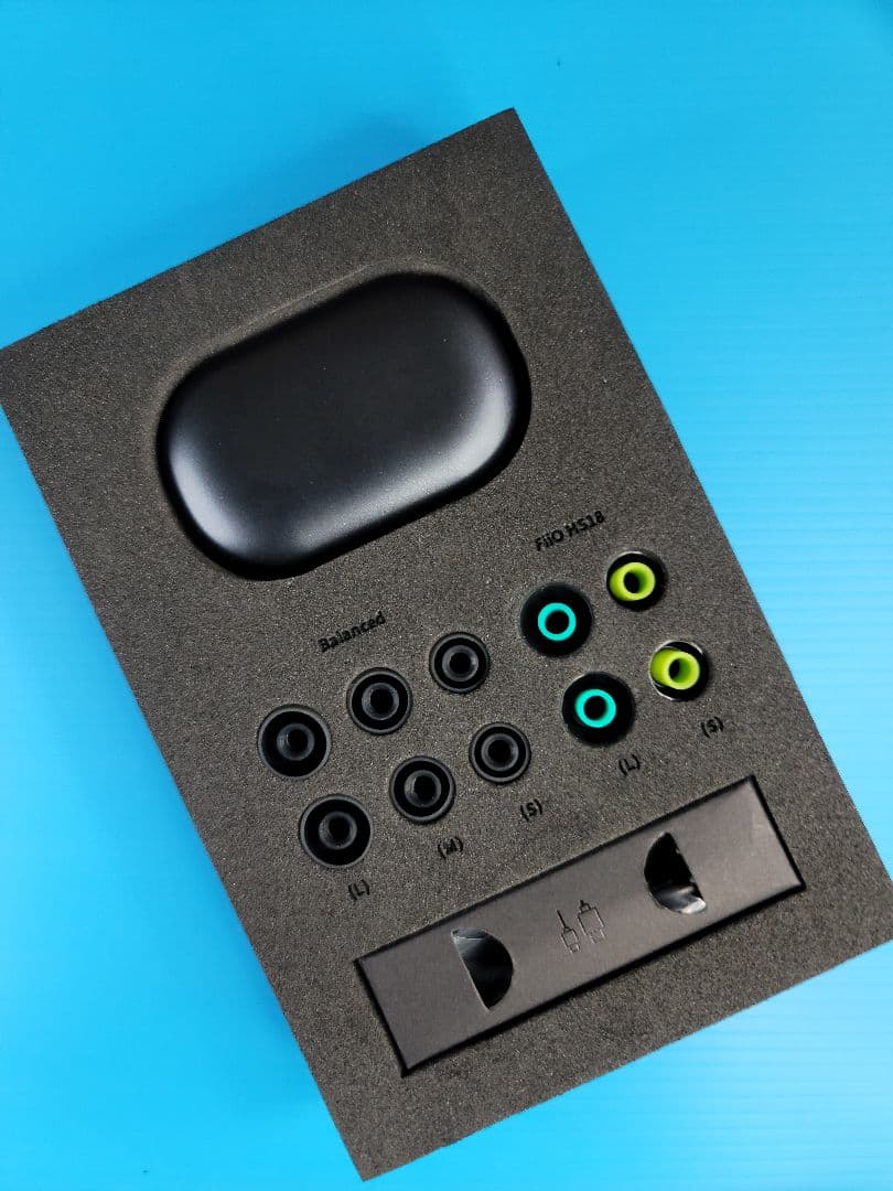 【美品】FiiO FW5 （2BA＋1DD..DAC）