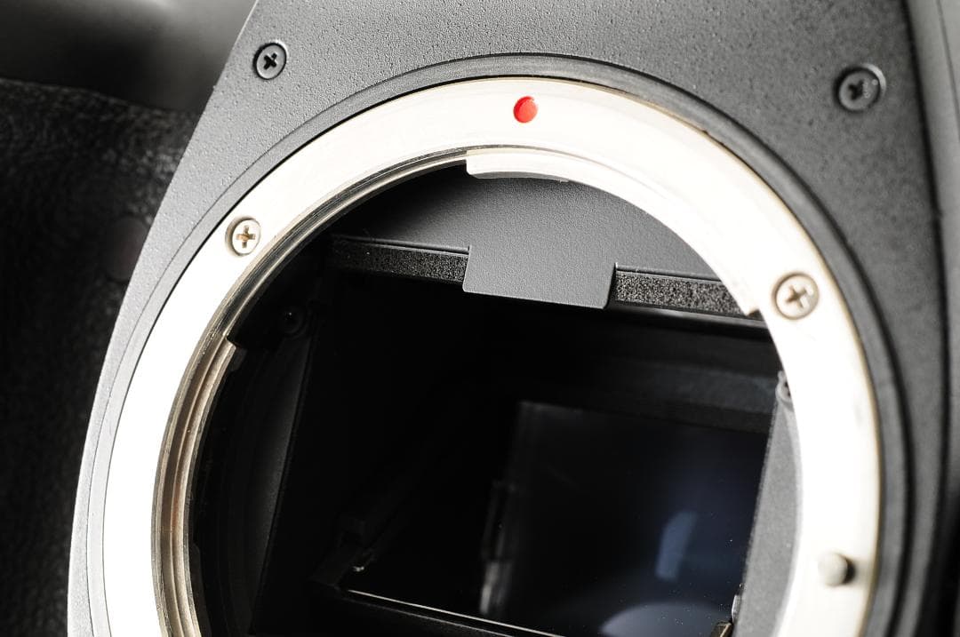 [美品 箱付き] キャノン Canon EOS 5D Mark lV ボディ