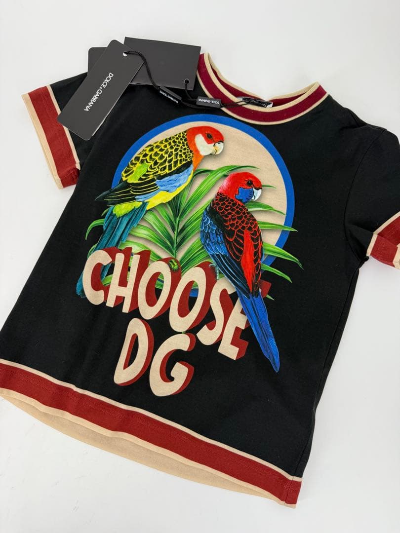 総額20万【ドルガバ7点セット】【2-4歳】ドルチェ/キッズ