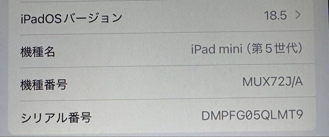 Apple iPad mini (第5世代) 64GB【Wi-Fi】