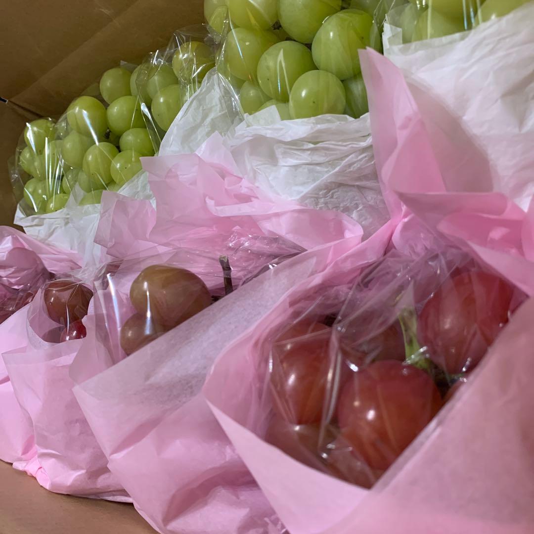 ⑥シャインマスカット＆クイーンルージュ®︎（4.5キロ）