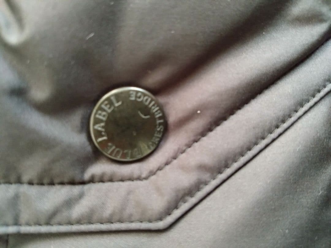 ブルーレーベルクレストブリッジ ダウンベスト　サイズ40