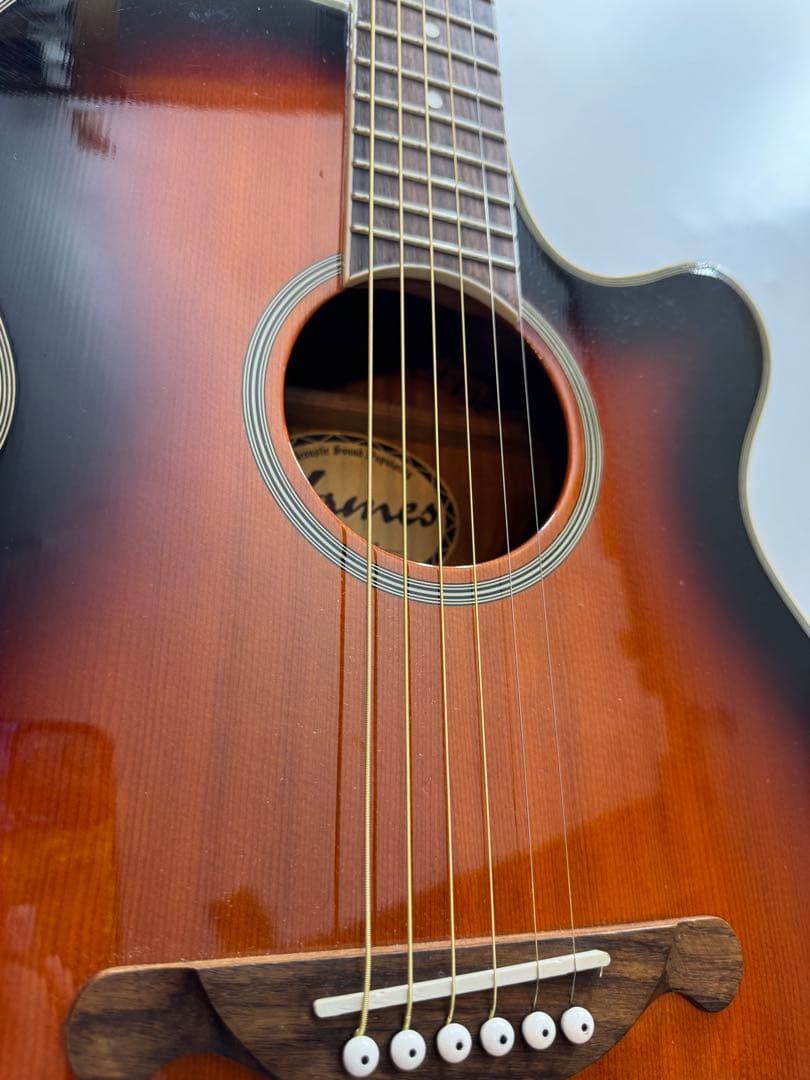 james je40wb エレアコ　アコースティックギター　アコギ