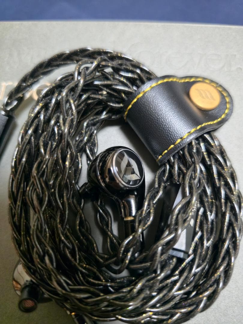 超美品　DITA Perpetua 10周年記念　有線イヤホン