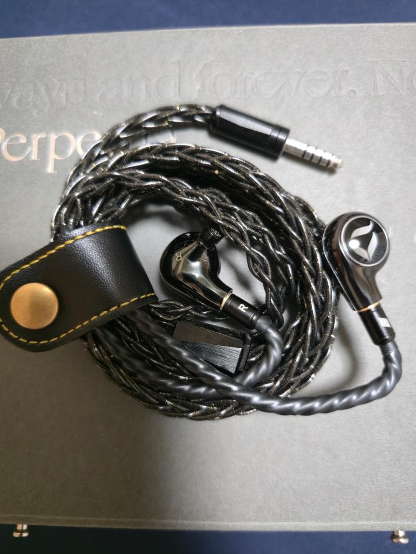 超美品　DITA Perpetua 10周年記念　有線イヤホン