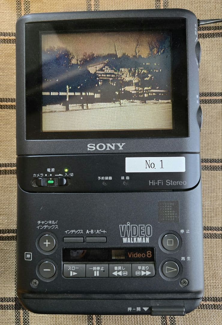 その他 SONY VIDEO WALKMAN GV-500