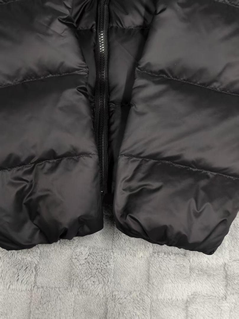 Patagonia メンズフィッツロイダウンフーディー