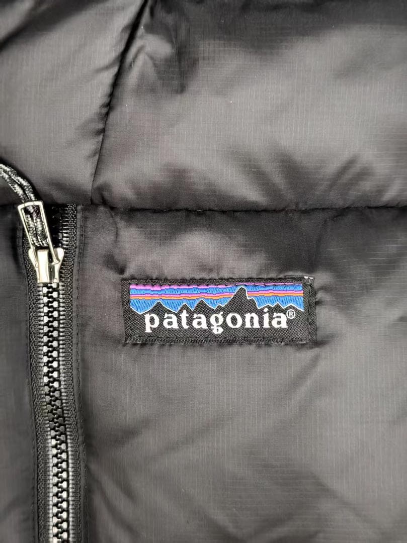 Patagonia メンズフィッツロイダウンフーディー