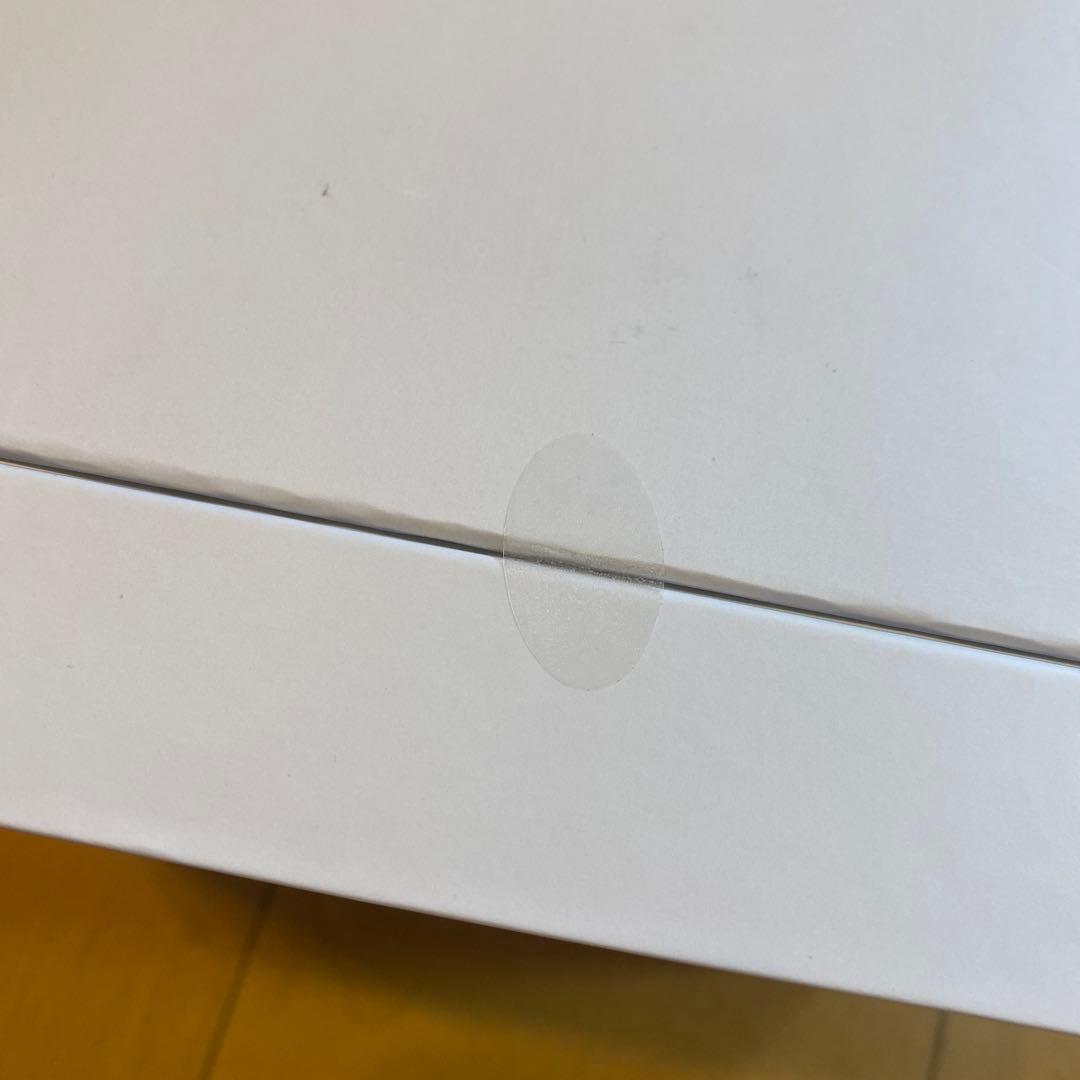 SALONIA ピュア ブライト スチーマー