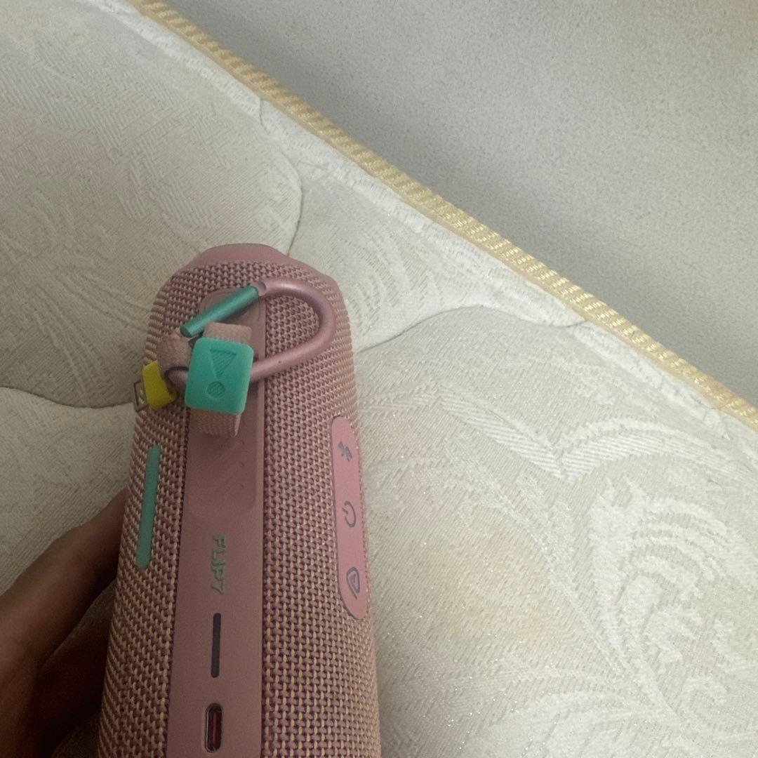 スピーカー・ウーファー flip7