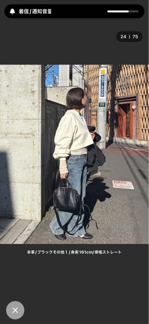 イアパピヨネスタッズショルダーバック