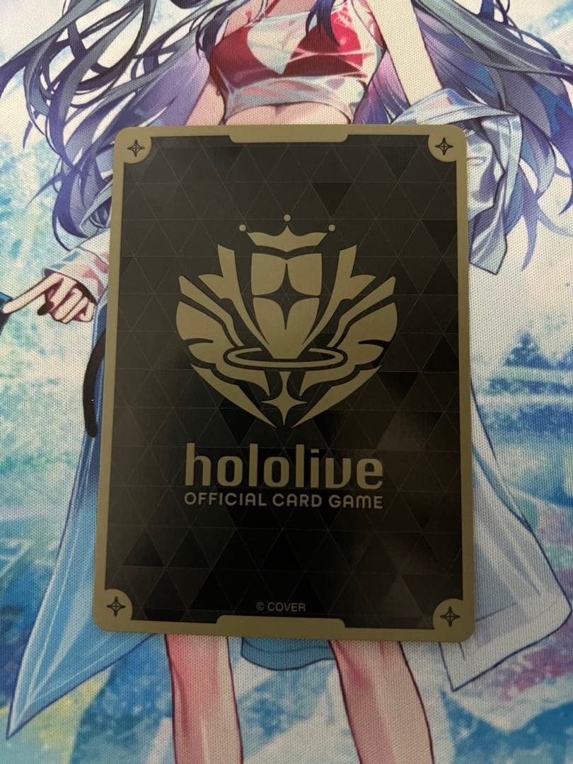 す*ん様 ホロカ 風真いろは hr