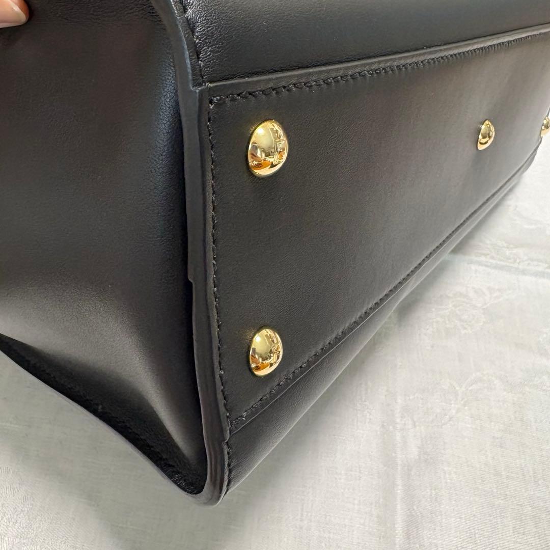 FENDI フェンディ ピーカブー レギュラー レザー 2way モンスター