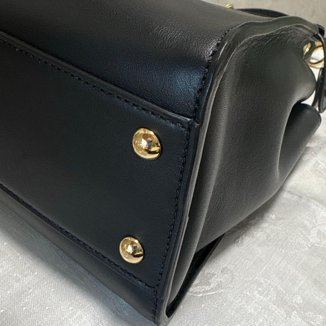 FENDI フェンディ ピーカブー レギュラー レザー 2way モンスター