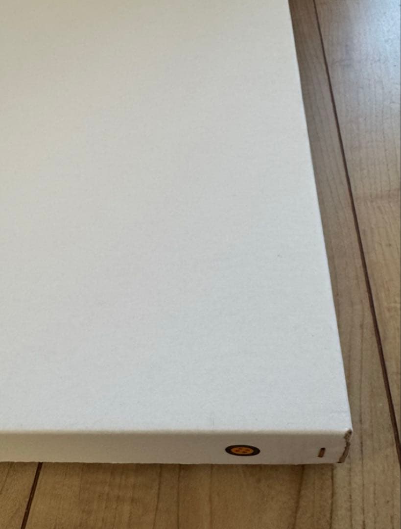 新品　正規品　桂正和 複製原画 I”S アイズ 葦月伊織 集英社