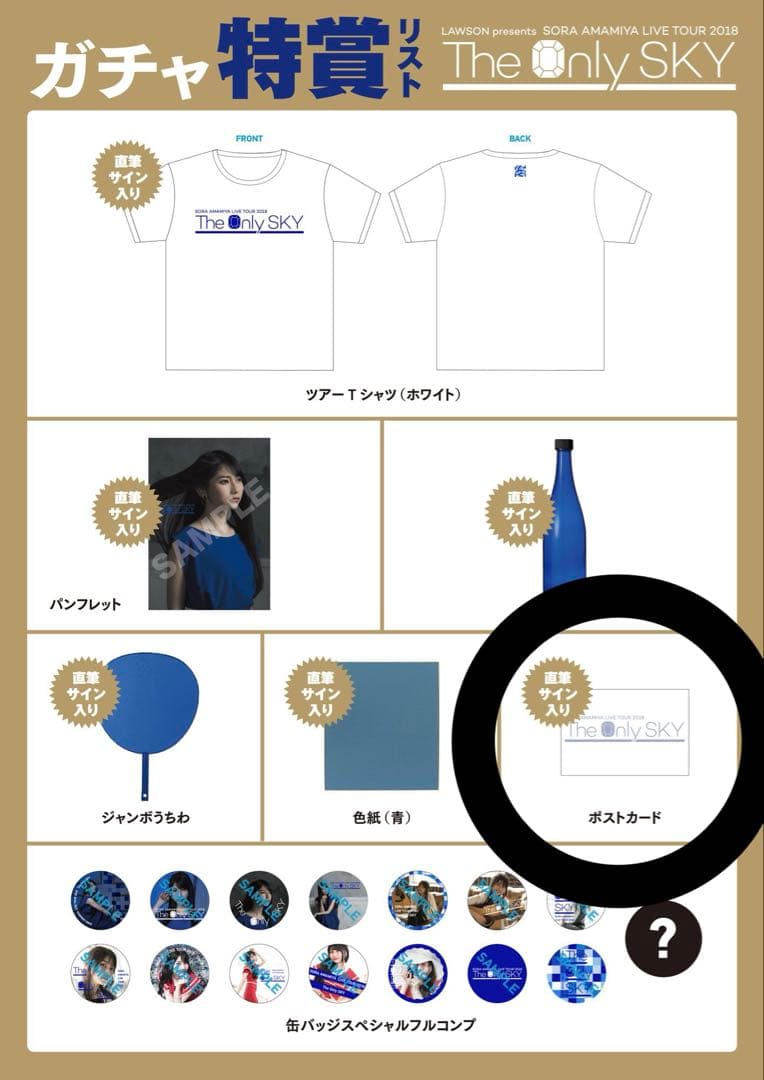 雨宮天 直筆サイン ポストカード