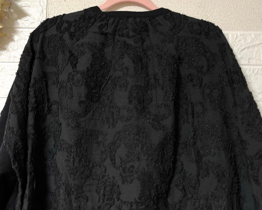 BEARDSLEY 後ろジャガードチュニック ガリャルダガランテ