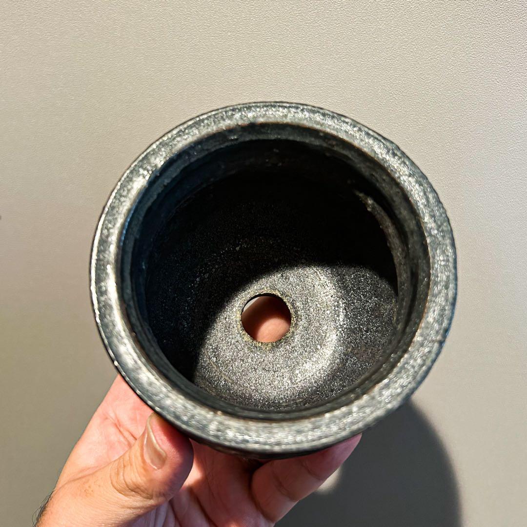 山中勇人　鉢　鉄球　アガベ　サボテン　塊根植物