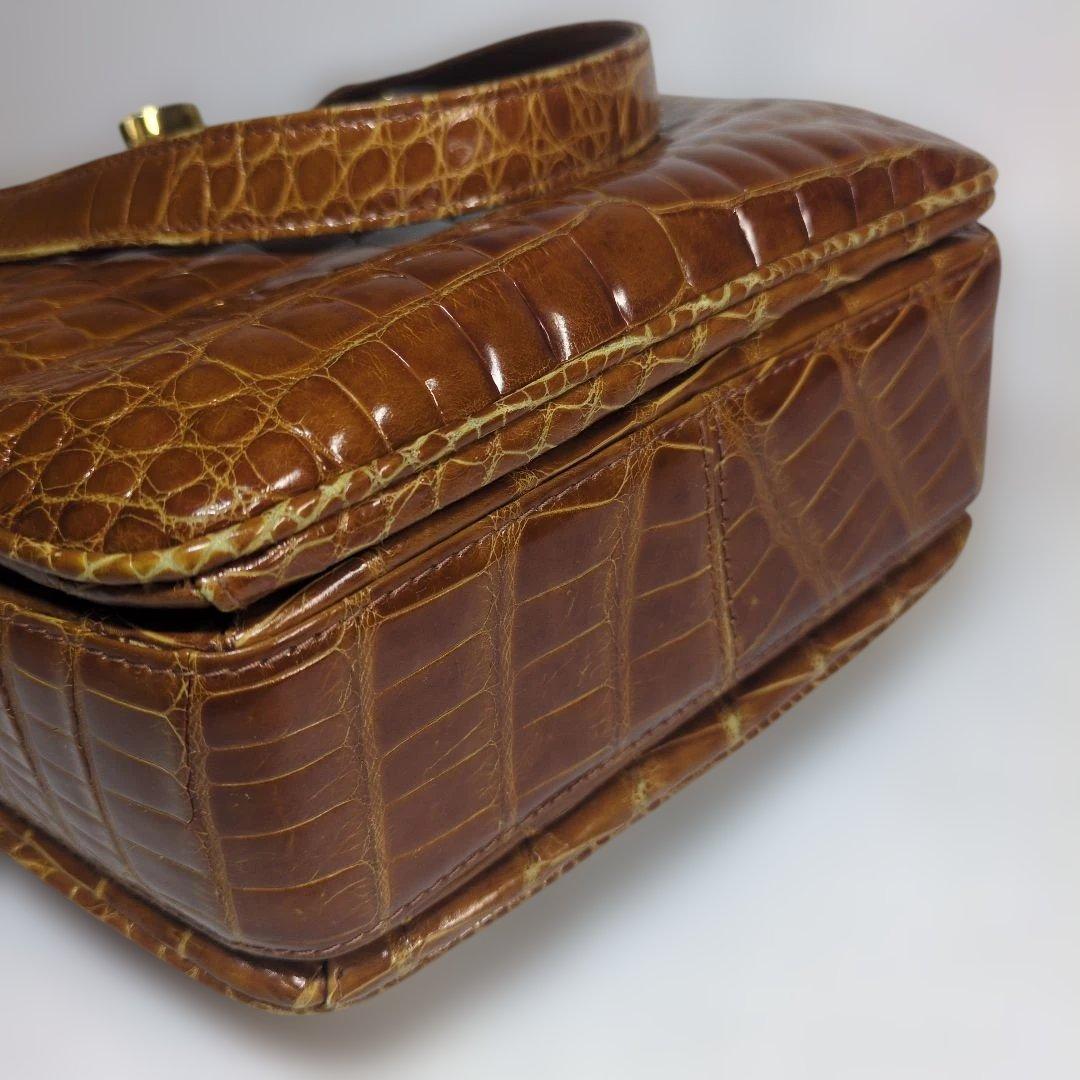 シャイニング　クロコダイル　バッグ　ブラウン　セット　サンタゴスティーノ