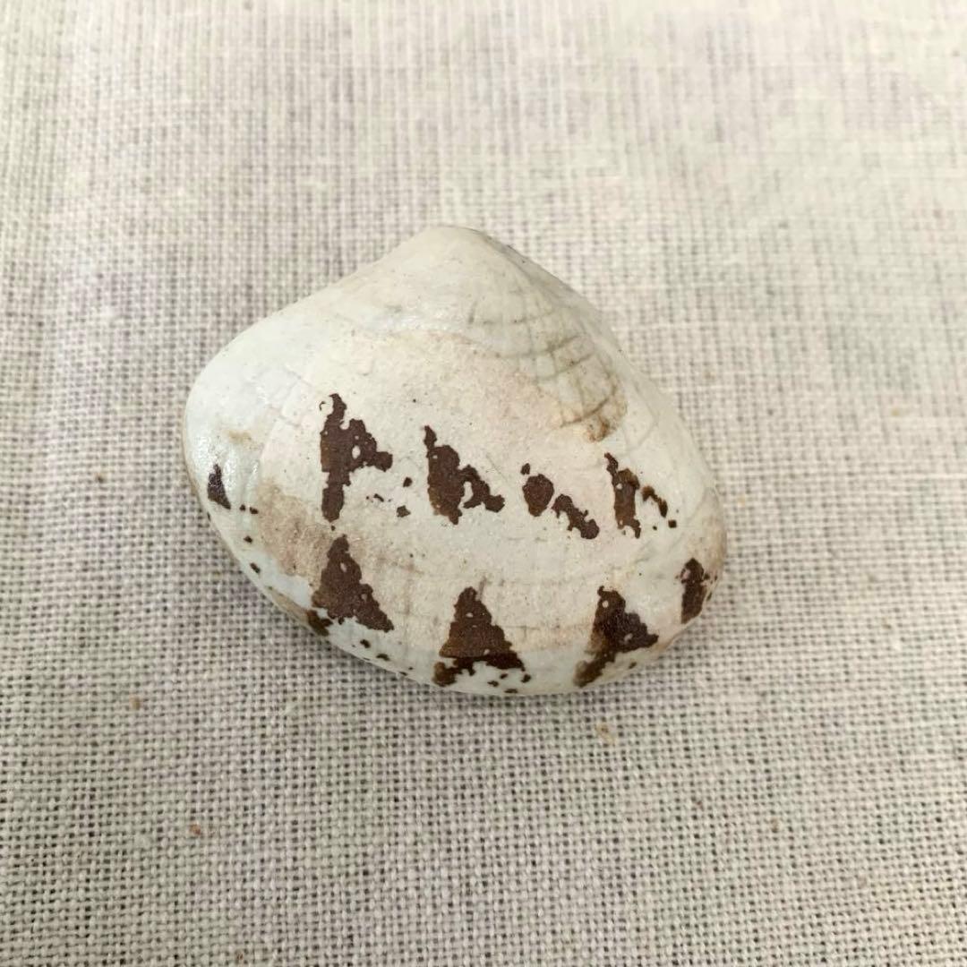 岡モータース　貝　アサリ　新品　作家