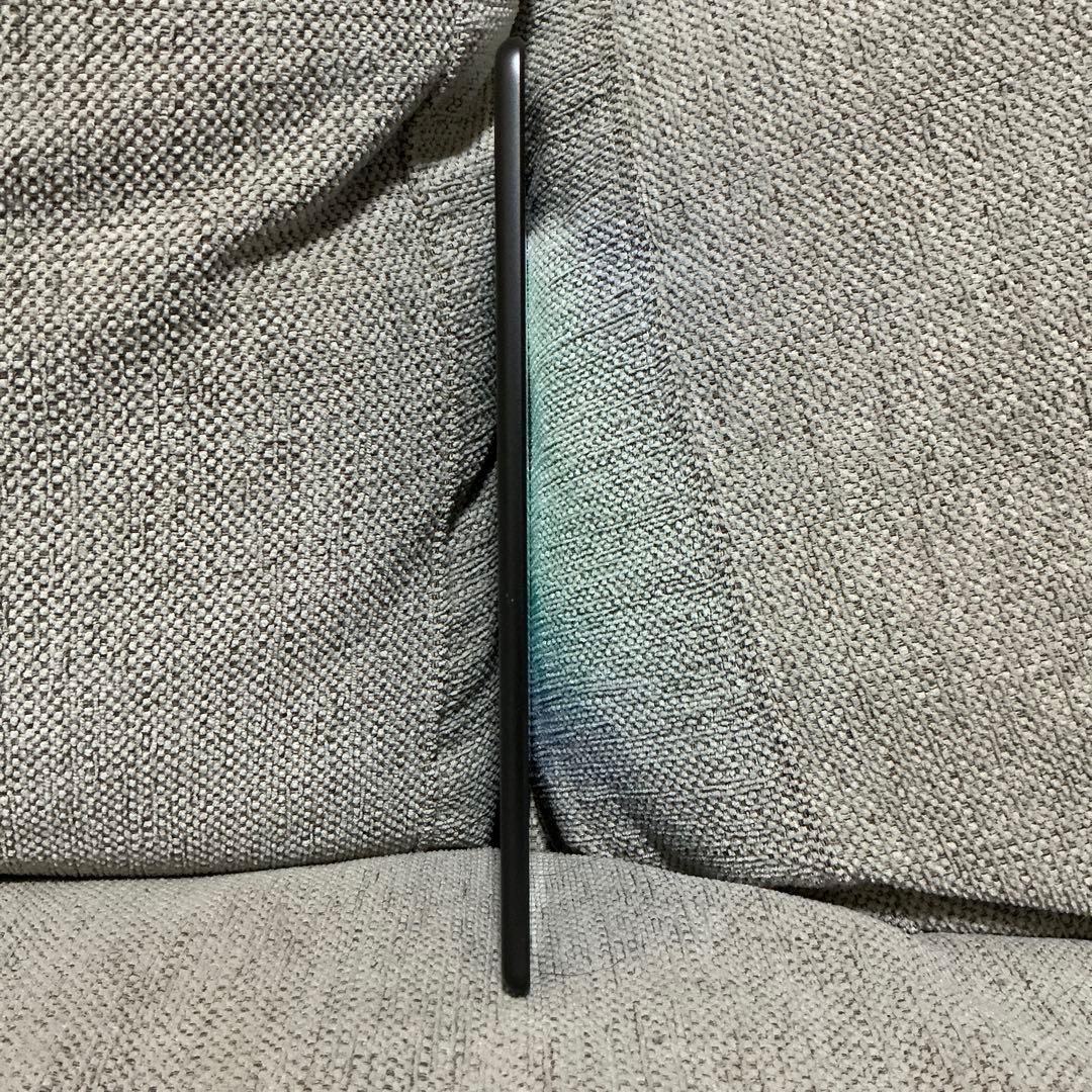 iPad mini5 セルラーモデル　256GB （touchID利用不可）